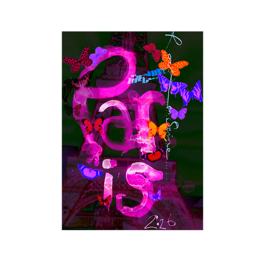 A vertical graphic art print featuring the word 'Paris' in large, vibrant pink graffiti-style lettering, decorated with colorful neon butterflies in purple, orange, red, and blue. The background shows a dark, faded silhouette of the Eiffel Tower, and the print is centered on a plain white background.